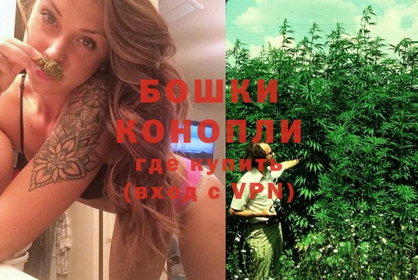 первитин Ельня