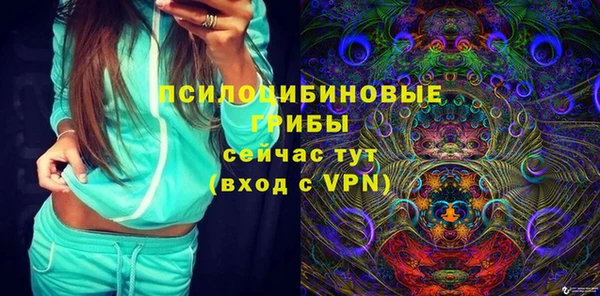 первитин Ельня