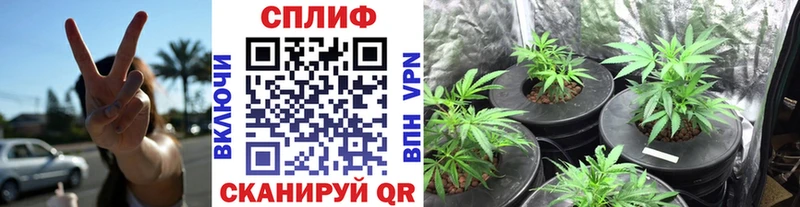 Купить  Среднеколымск  Бошки Шишки VHQ 